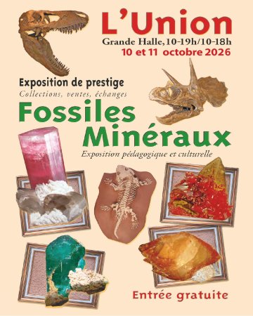 24e salon Minéraux et Fossiles de L'Union (31)