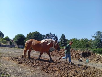 Chantier terre crue