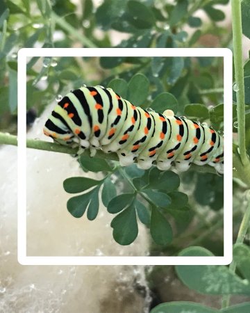 Atelier EVEIL NATURE parents-enfants