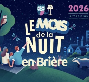 Atelier bricolage - Créez un gite pour les chauves-souris !