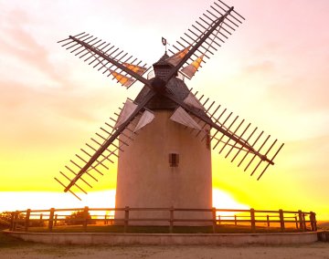 [Exposition] Moulin de Bénesse-lès-Dax : la renaissance de l'unique moulin à vent des Landes