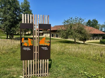 Information et atelier sur le bocage en Bresse