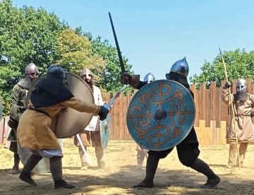 Des vikings au musée !