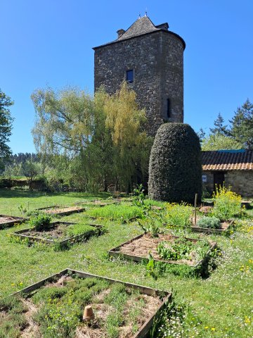 Flânerie médiévale et gourmande