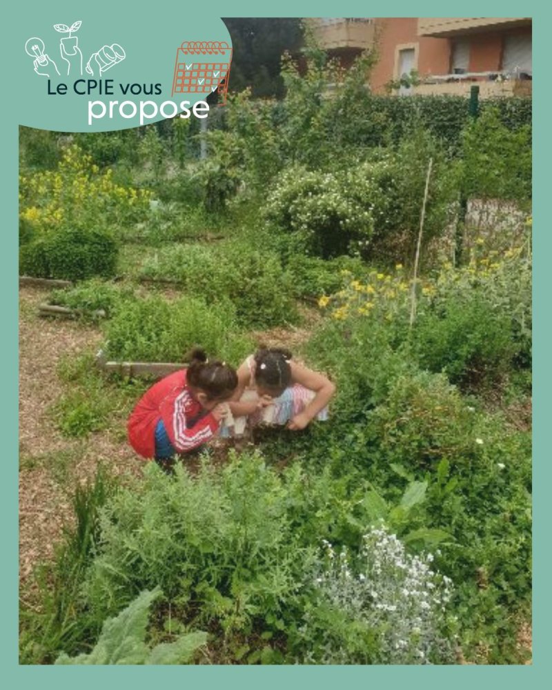 Atelier : Un goût de nature