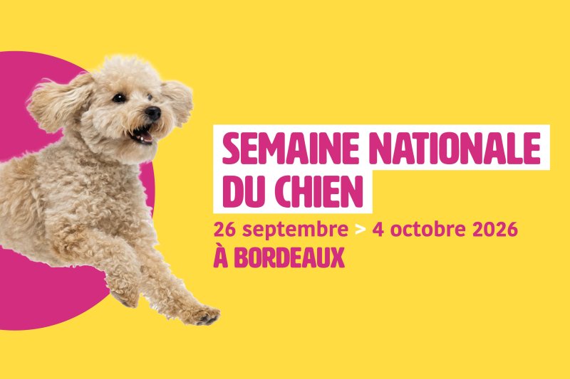 Atelier enfants – parents « Prévention des risques de morsures»