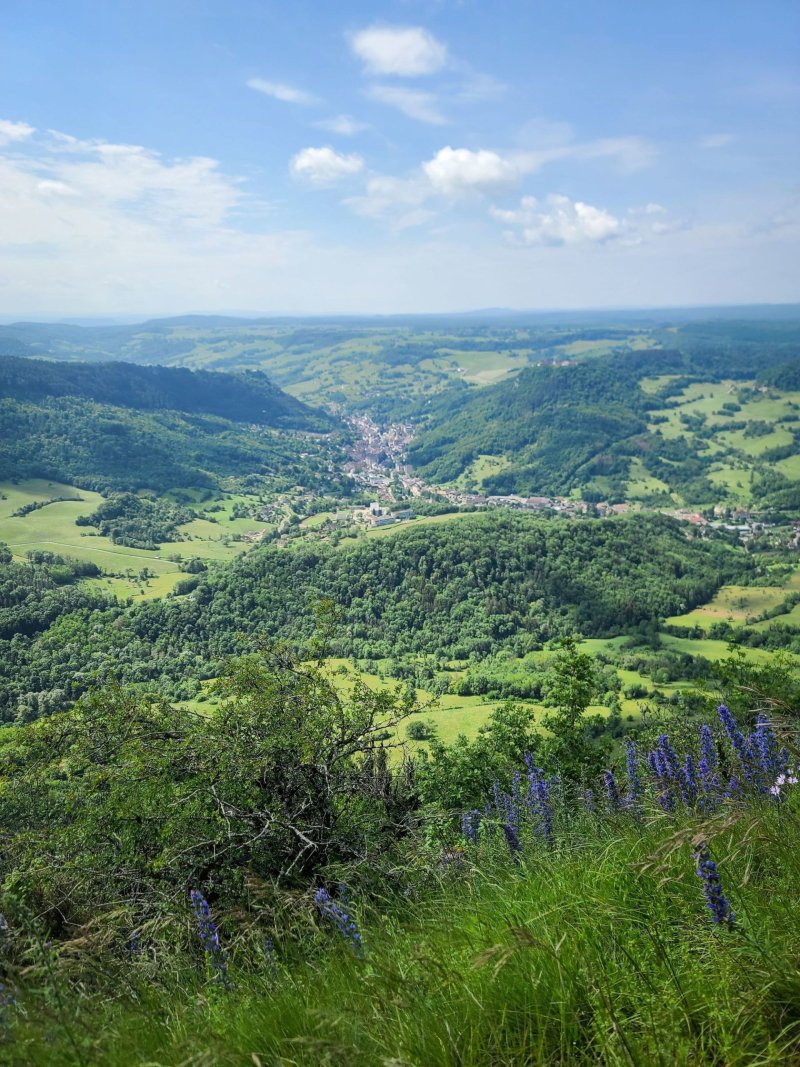 Résidence Atlas des absences