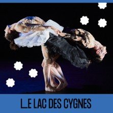 Le Lac des Cygnes - Théâtre des Bergeries, Noisy-le-Sec