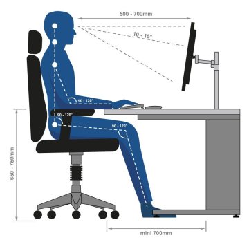 Bien travailler sur écran : posture, vision et sédentarité