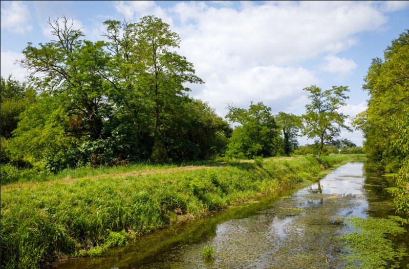 Balade « A la découverte de la vallée maraichère des Jalles du Taillan et d’Eysines »