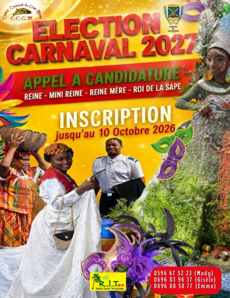 APPEL À CANDIDATURE-ÉLECTION CARNAVAL 2027