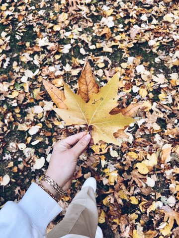 Atelier artistique "L'automne"