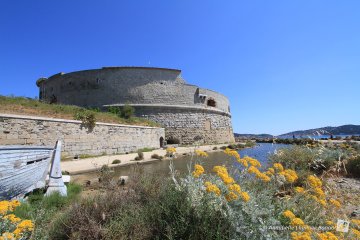 Visite libre Tour Royale