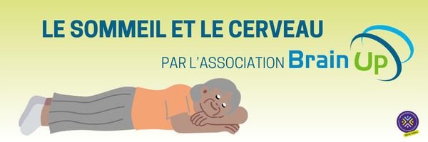 Le sommeil et le cerveau