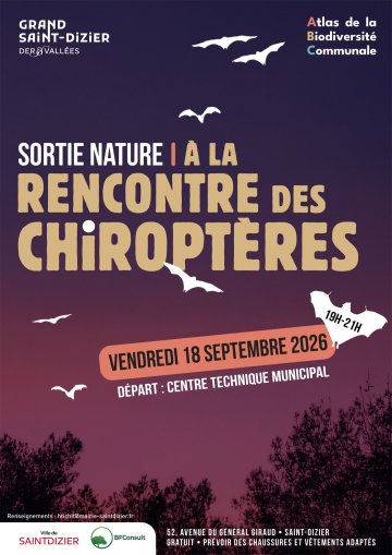 Sortie nature : à la rencontre des chiroptères à Saint-Dizier