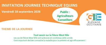 Webinaire journée technique équins