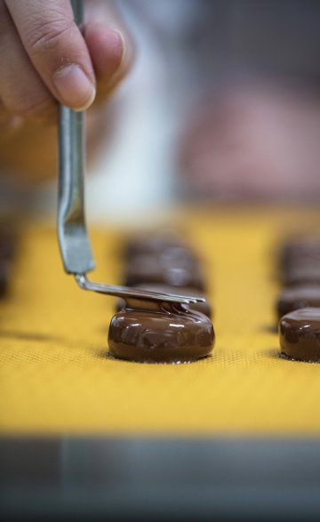 Immersion dans la Chocolaterie Weiss