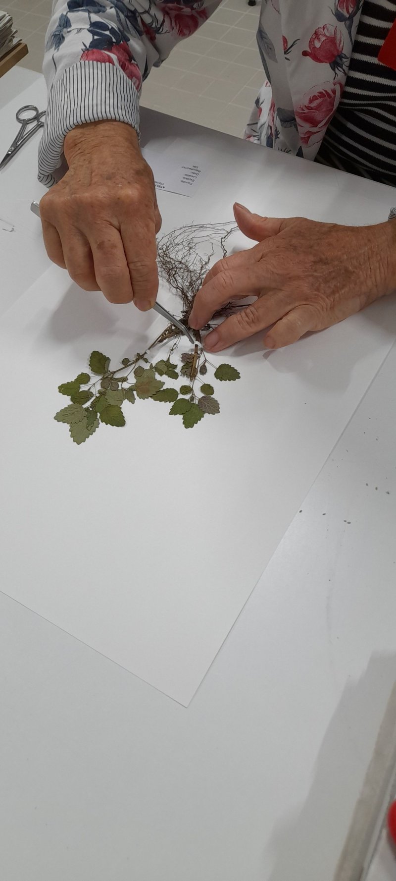 Ateliers créatifs