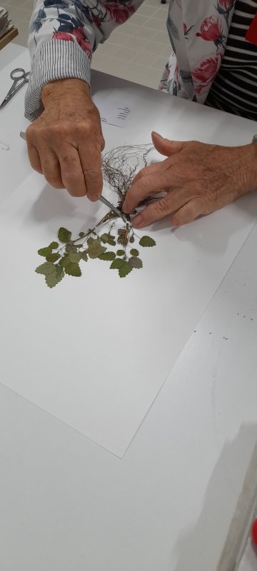 Ateliers créatifs
