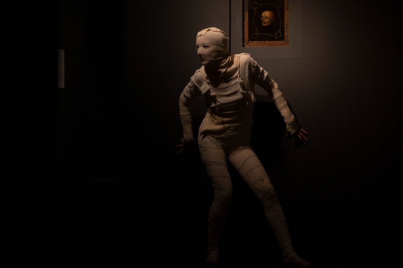 La nuit des ombres
