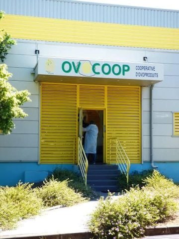 Visite guidée de la coopérative agricole OVOCOOP