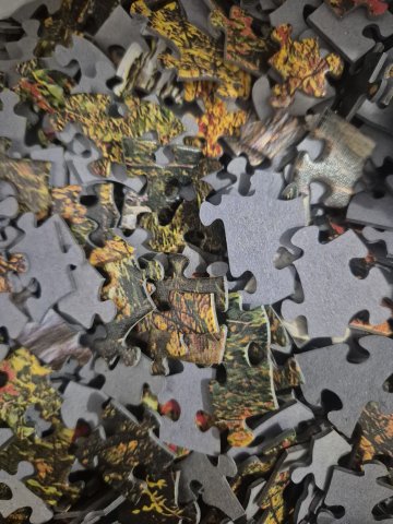 Défi puzzle