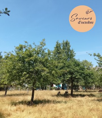 Conférence dégustée sous le pommier - Saveurs d'octobre