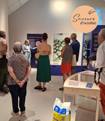Cum grano salis («Avec un grain de sel») - Saveurs d'octobre