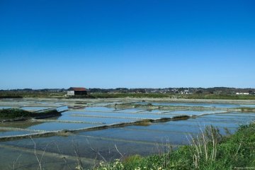 Visitez nos entreprises - "Les chemins du goût" à Terre de Sel