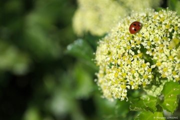 Visitez nos entreprises - "Saveurs de la nature" à Terre de Sel