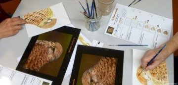 Atelier Pop up - la forêt en diorama