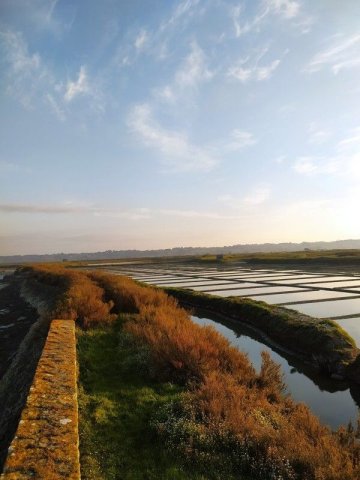 Visitez nos entreprises - "Au gré des salines" à Terre de Sel