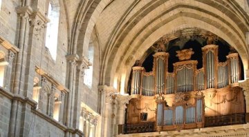 Levez les yeux à la Cathédrale de Langres !