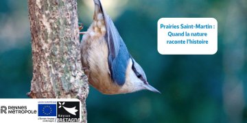 Prairies Saint-Martin : quand la nature raconte l’histoire