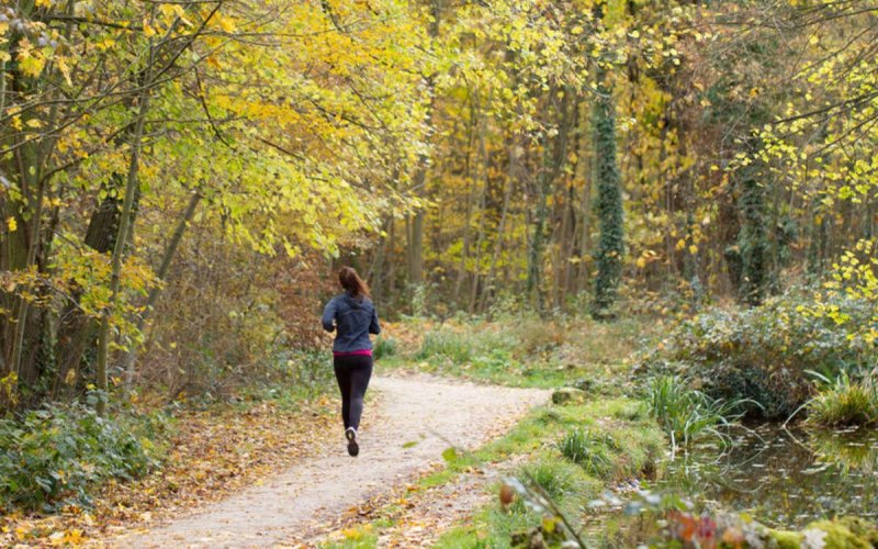 Run for climate