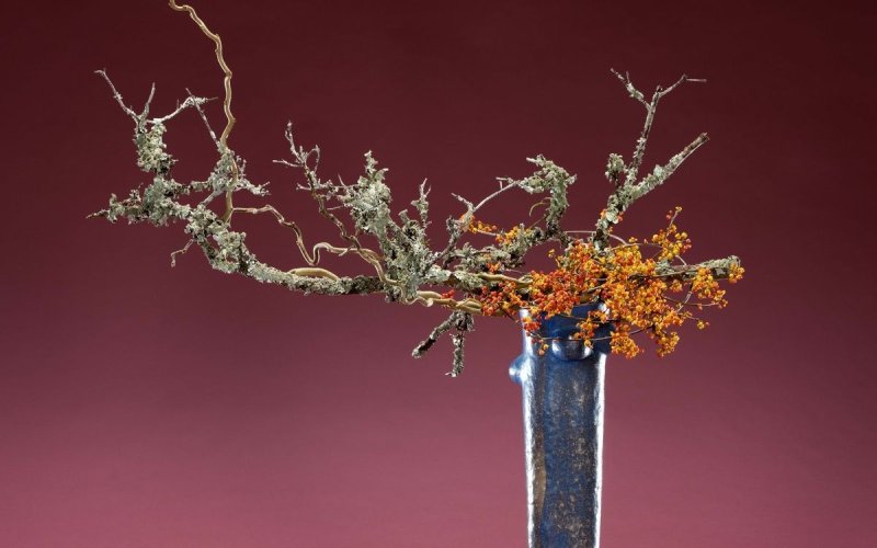 Expositions "Dans une composition, une fleur est une personne"