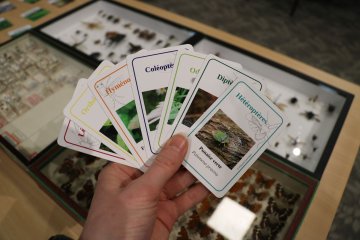 La semaine bleue / Atelier-jeu intergénérationnel
