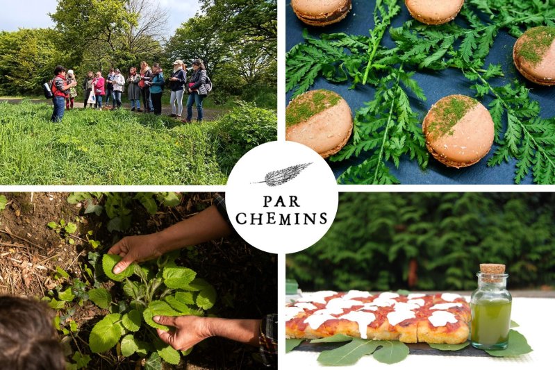 Cuisinez vos bouchées apéritives et cocktail à base de plantes sauvages