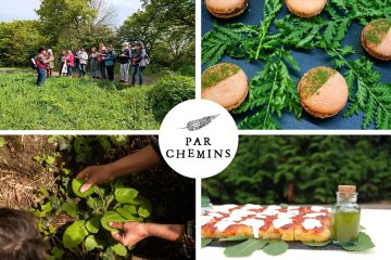 Cuisinez vos bouchées apéritives et cocktail à base de plantes sauvages