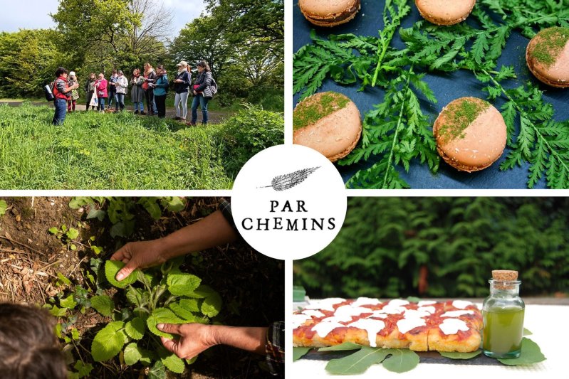 Cuisinez vos bouchées apéritives et cocktail à base de plantes sauvages