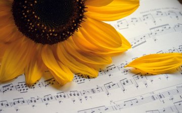 Vous avez dit musicothérapie ?