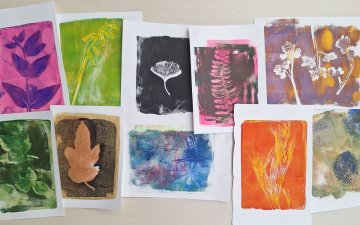 Automne de la Science : La nature comme source d'inspiration