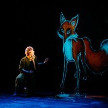 Le Petit Prince (avec Hoël Le Corre)