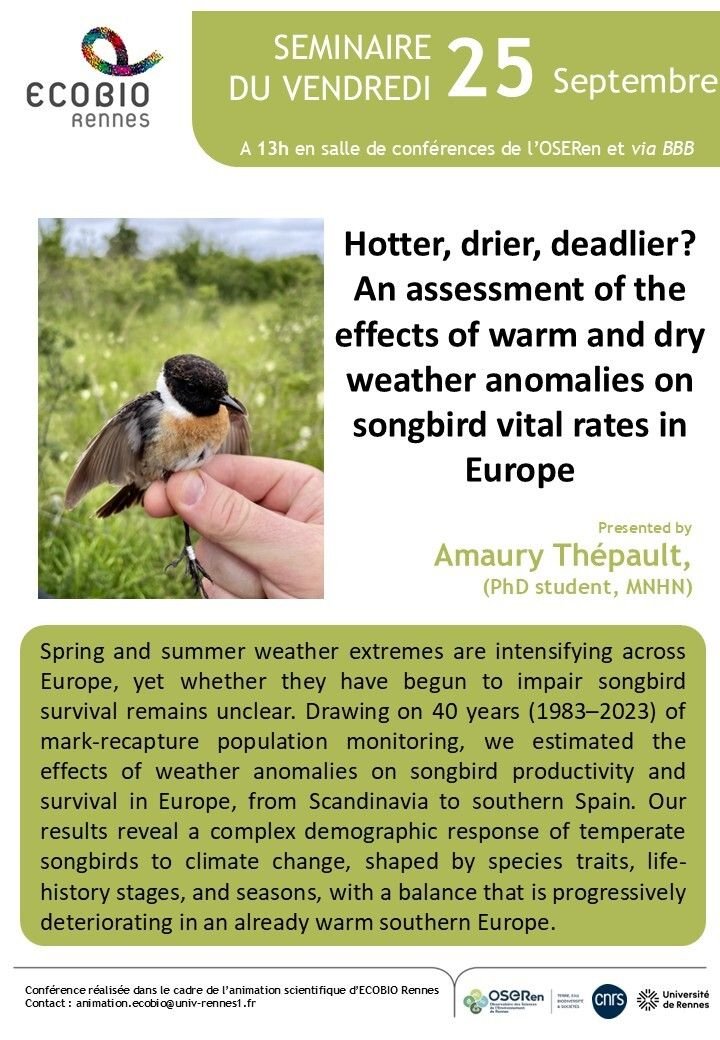 Hotter, drier, deadlier? An assessment of the effects of warm and dry weather anomalies on songbird vital rates in Europe
