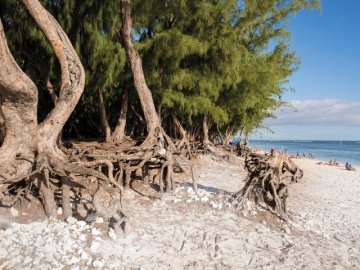 Le changement climatique et ses impacts à la Réunion