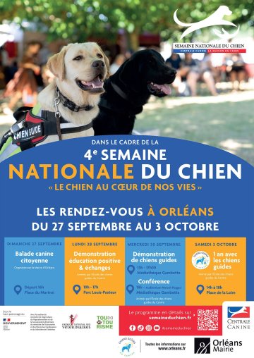 La semaine du chien
