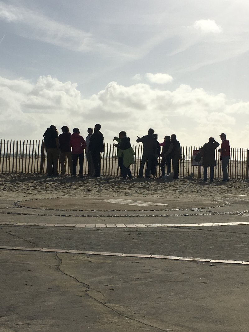 Venez découvrir la migration au Cap Ferret