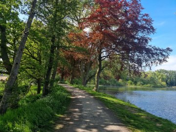Rando solidaire de l'automne