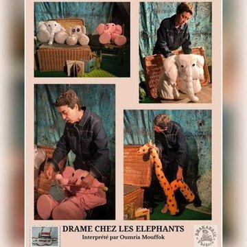 Drame chez les éléphants