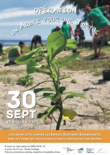 Opération "un arbre, une tortue"
